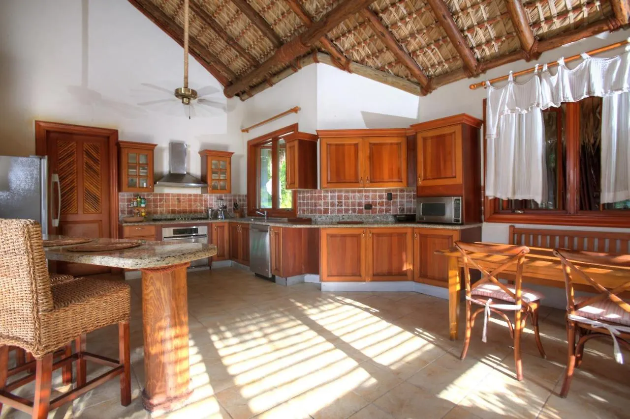Luxury Cap Cana Villas For Rent 푼타 카나 0*,