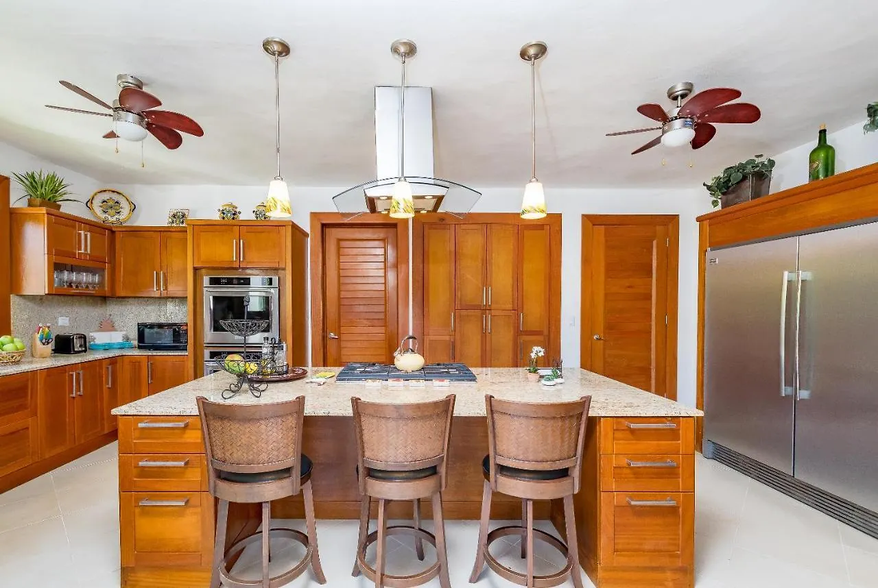 Luxury Cap Cana Villas For Rent 푼타 카나
