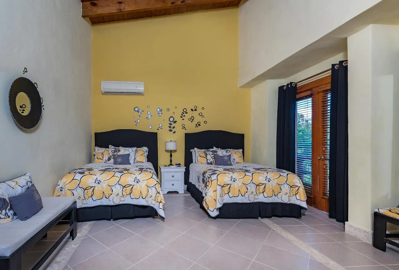 Luxury Cap Cana Villas For Rent 푼타 카나 도미니카 공화국